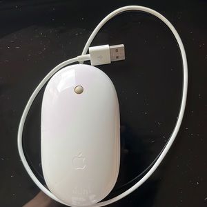 Apple Mouse